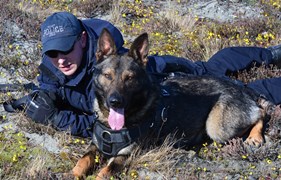 Police dog with his handler