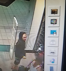 Photo of the suspect